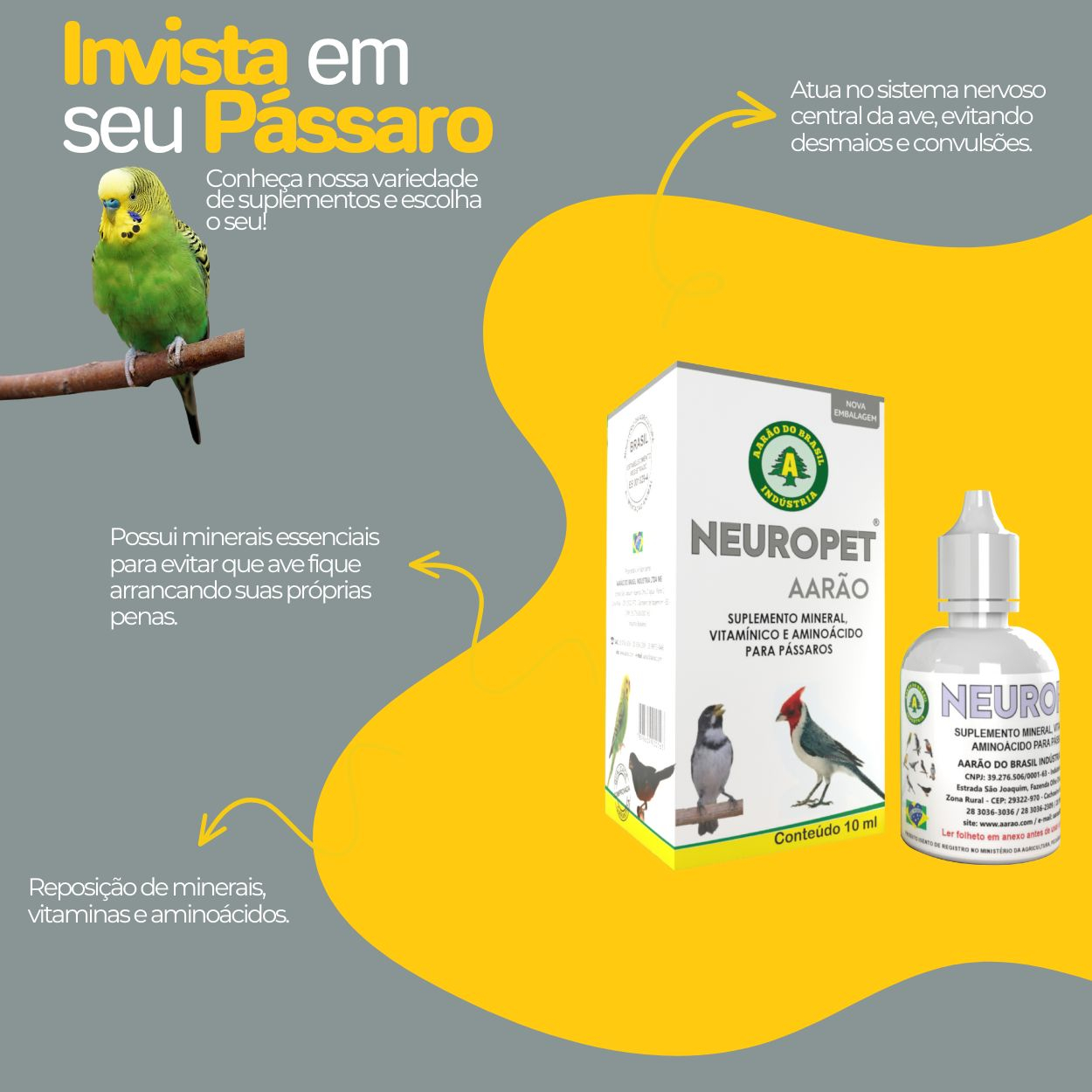 Neuropet , desmaios de pássaros , comendo pena de pássaros 